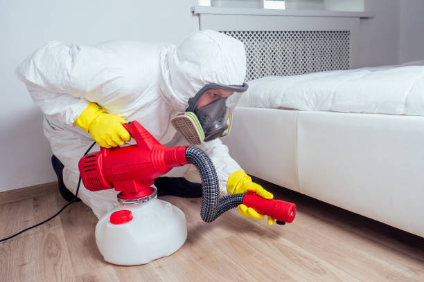 Pest Prevention Services in Port Arthur, TX