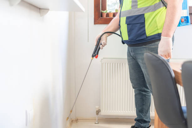 Best Local Pest Control Services  in Port Arthur, TX