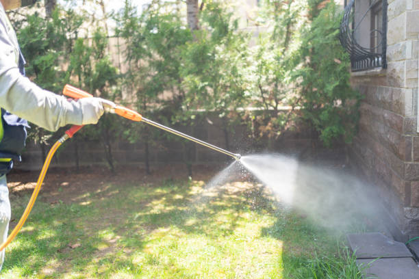 Best Pest Removal Services  in Port Arthur, TX