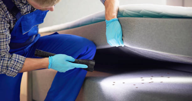 Best Affordable Pest Control Services  in Port Arthur, TX