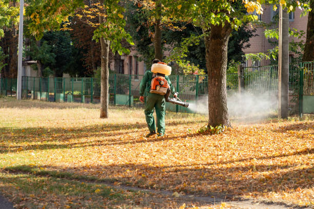 Best Wasp Removal Services  in Port Arthur, TX