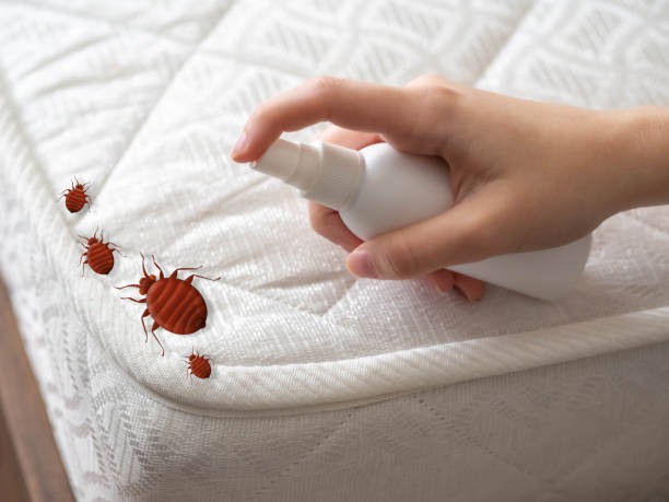 Trusted Port Arthur, TX Pest Control Experts