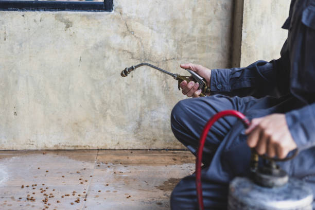 Best Termite Control Services  in Port Arthur, TX